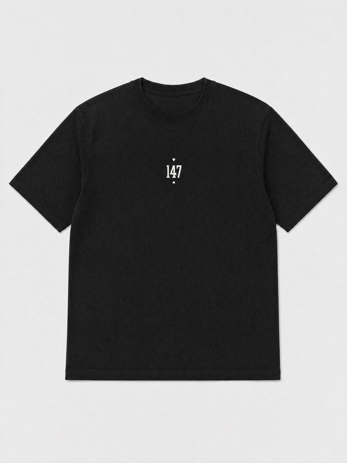 147 Embroidered T-shirt
