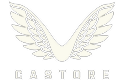 Castore